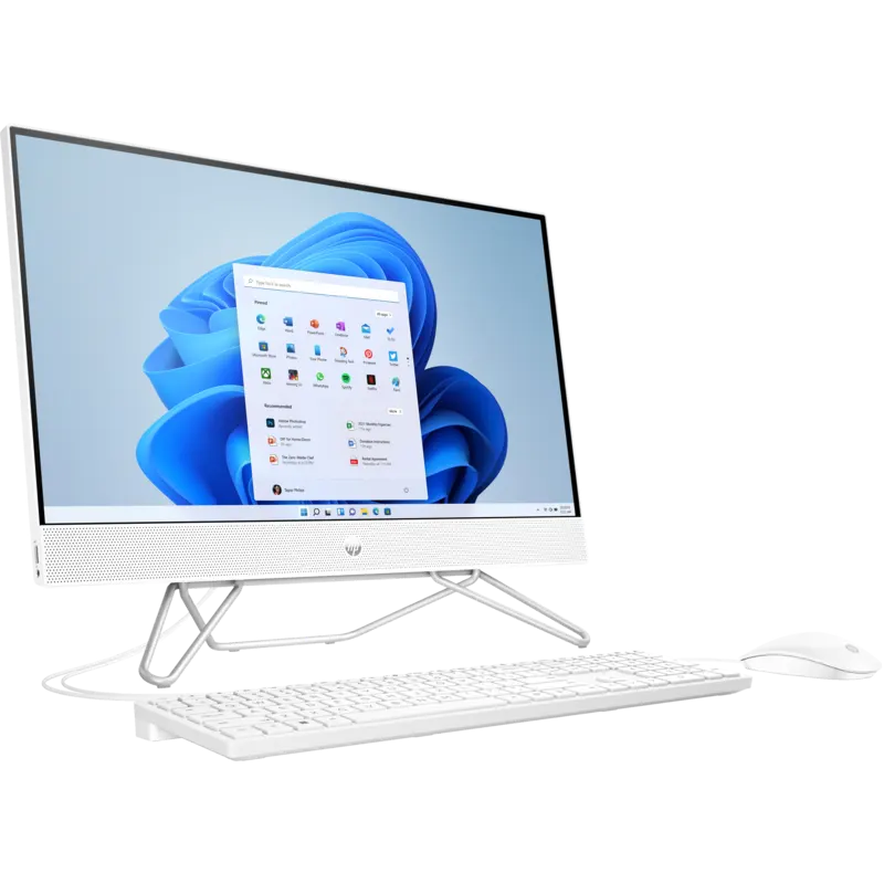 cb1004l All-in-One Desktop PC with mouse and keyboard