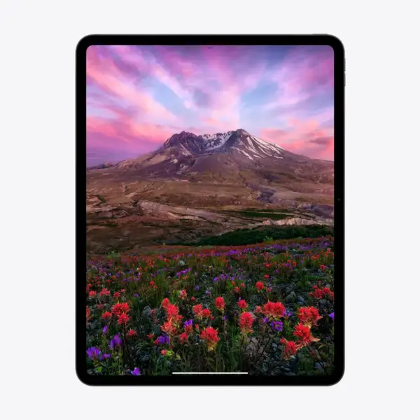 Apple MVV93LL-A 11-Inch iPad Pro, M4 Chip, Ultra Retina XDR display, 256GB Storage with Standard Glass, (Only Wi-Fi)