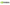 Nvidia Logo